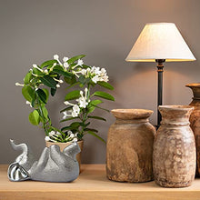 Load image into Gallery viewer, Elephant Statue, Silver Elephant Décor - Delta Sigma Theta Sorority Paraphernalia – Elephant Figurines with Trunk up - Elephant Nursery Decor - Elephant Gifts for Women